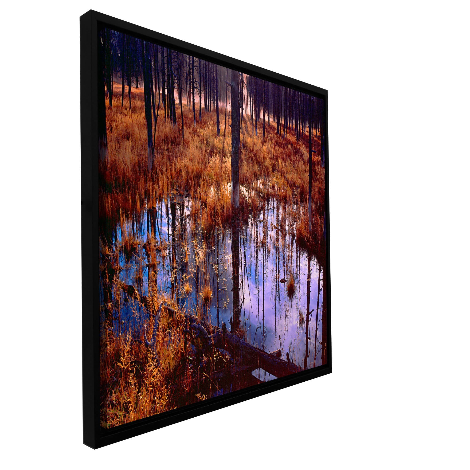ArtWall Dean Uhlinger "Yellowstone Morning" Floater Framed Gallery-Wrapped Canvas