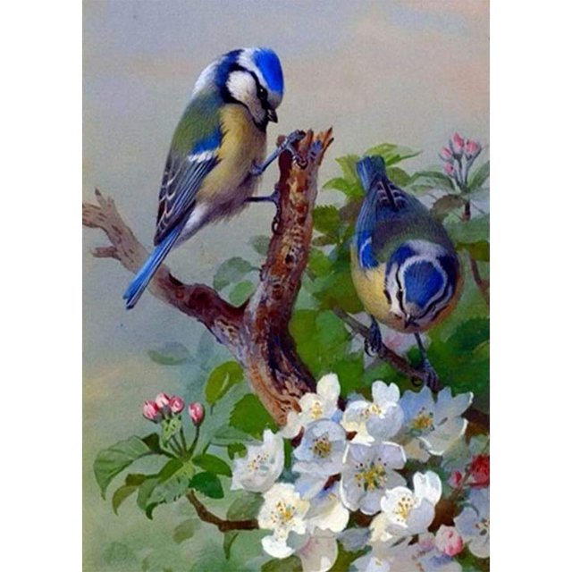 Pintura de diamante animal, bordado de diamante punto de cruz en resina decoración de la sala de estar del hogar, pájaro 30X40cm