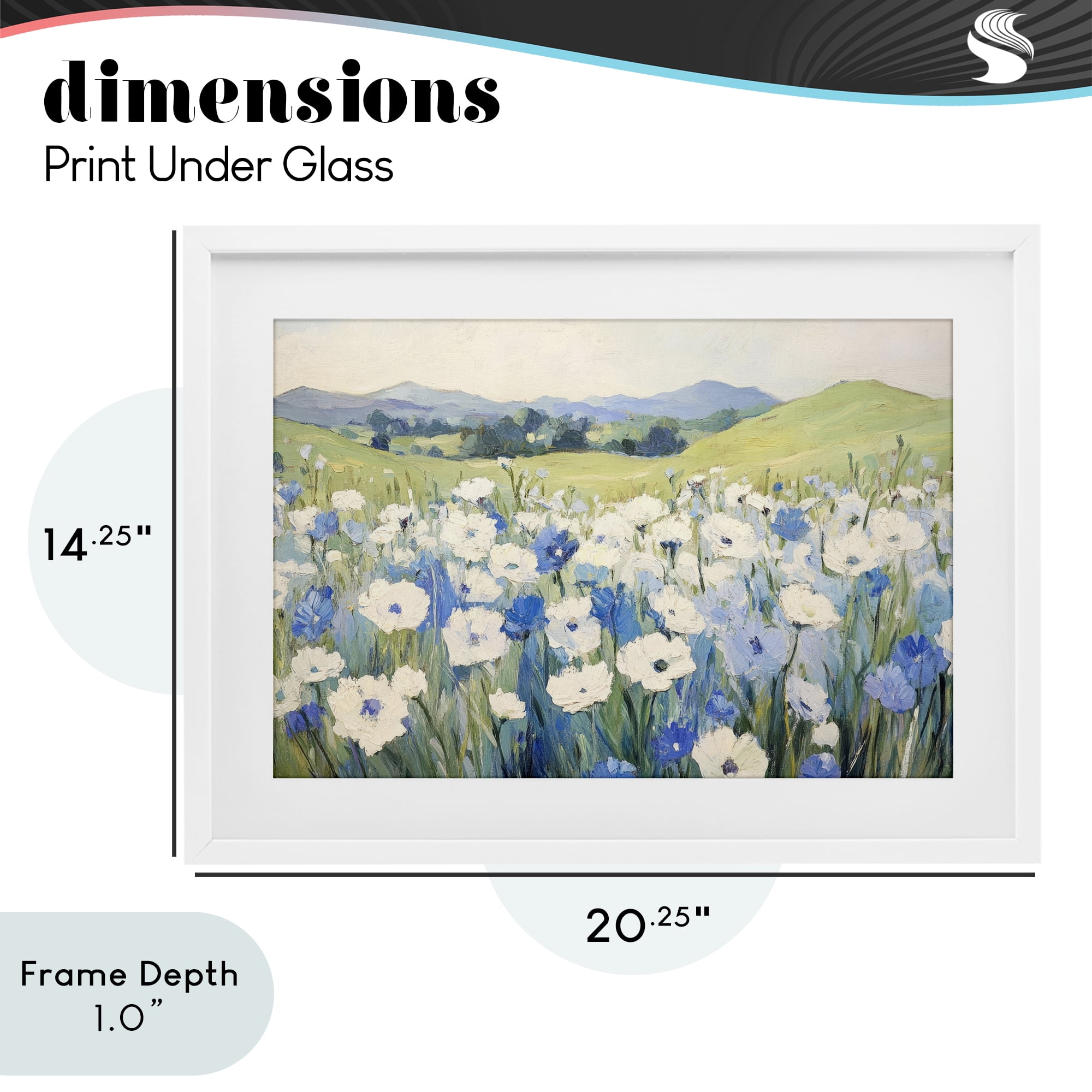 Stupell Industries Blue & White Daisies White Framed Print Under Glass, design by Petal Prints Design