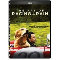 The Art of Racing in the Rain (DVD)