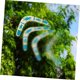 thumbnail image 4 of Juguete Boomerang de madera Boomerang al aire libre Adulto Dardo al aire libre Niños Boomerang Diversión Volar Dardo Boomerang Juguetes Ejercicio Volar Boomerang Vuelos de dardos Deportes infantiles, 4 of 5
