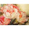 thumbnail image 1 of Bordado completo DIY lienzo estampado 11CT punto de cruz flor tulipán Kit adornos FLhrweasw Nuevo, 1 of 1