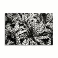 thumbnail image 2 of Gango Home Decor Natural Camouflage by Alan Hausenflock (Printed on Paper); One 36x24in Fine Art Paper Giclee Print, 2 of 4