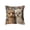 Multicolor-2, variant on Spring Cute Pet Patterns Cushion Cover, Soft Throw Pillow Cover for Sofa and Chair, Home Decor for Living Room, Bedroom, and Pet Lovers