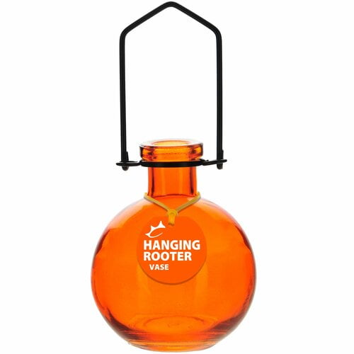 Hanging Teardrop Rooter Vase Orange Couronne 