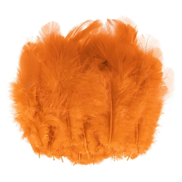 Uxcell 600-Pack Plumas para Manualidades, Naranja 1.57-3.15 Pulgadas Plumas Naturales Esponjosas para Decoraciones de Bodas