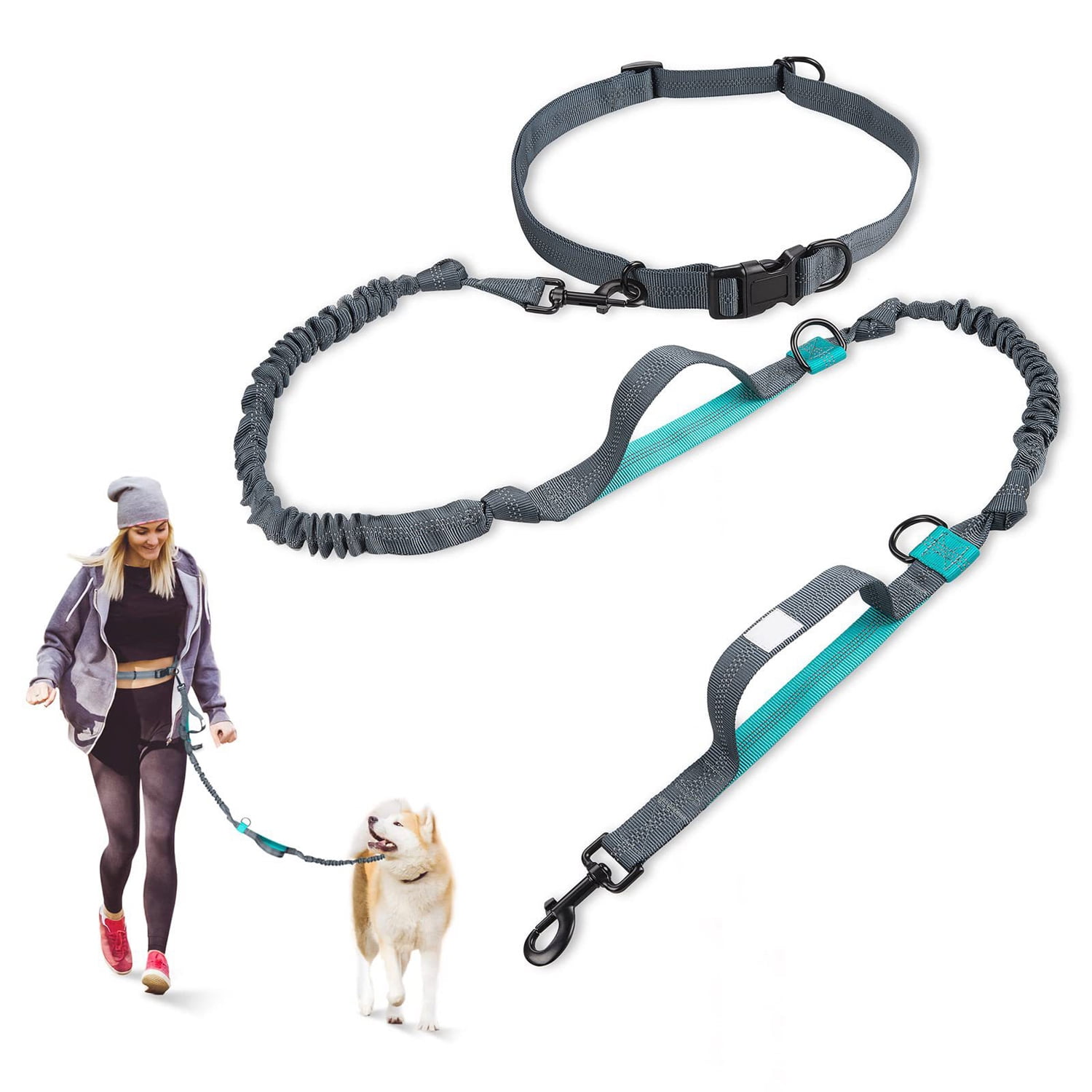 dog leash waist band