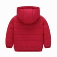 thumbnail image 4 of tarylea Hoodies for Toddler Baby Girls Boys Full Zipper Cinch Cuff Jacket Solid Color Long Sleeve Lightweight Infant Tops Casual Warm Winter Dailywear Tops for 1-10 Years, 4 of 9