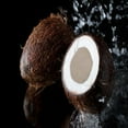 thumbnail image 2 of Black Coconut 8 lb Bottle for Candle Making, Soap Making, Tart Making, Room Sprays, Lotions, Car Fresheners, Slime, Bath Bombs, Warmers, 2 of 4