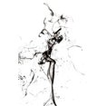 thumbnail image 2 of Art.com Abstract Black Smoke - The Dancer Art Print by Philippe HUGONNARD, 16" x 24", 2 of 4