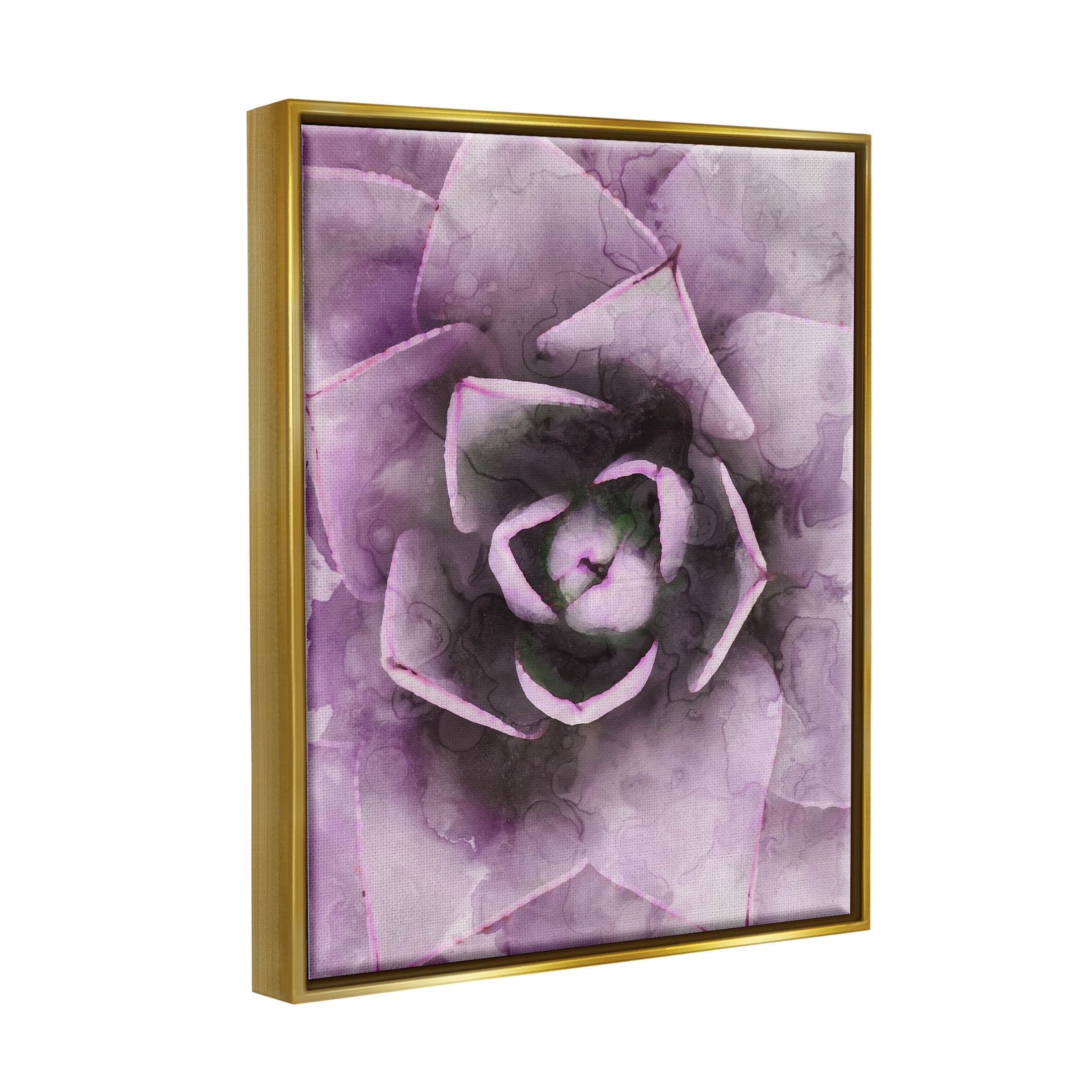 Modern Purple Succulent Leaves Botanical & Floral Graphic Art Metallic Gold Framed Art Print Wall Art