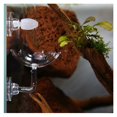 thumbnail image 2 of 1 Uds cuenco de alimentación de camarones de cristal cuenco de alimentación redondo para acuario tanques de peces Reptiles hogar cocina con ventosa esquí esquí Gafas de esquí, 2 of 4