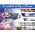 thumbnail image 3 of Chaleco antiansiedad para perros CozyVest 3 en 1 con música y aromaterapia, 3 of 6