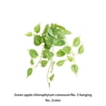 thumbnail image 4 of Bewildely Hojas falsas, vides, plantas colgantes artificiales, de hojas, autoensamblaje, pared exterior para habitación, jardín, boda, porche, Flores artificiales tipo 2 50*40cm Bewildely HA084194-02, 4 of 6
