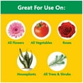 thumbnail image 7 of Miracle-Gro Water Soluble All Purpose Plant Food, 8 oz., 7 of 7