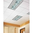 thumbnail image 2 of Fluorescent Light Covers for Ceiling Lights 1 Pack, Green Pumpkins Fall Thanksgiving Magnetic Ceiling Light Covers 2x4ft for Classroom Office School, Black Plaid Watercolor Drop Ceiling Light Shade, 2 of 7