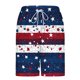 thumbnail image 4 of Pantalones Cortos Casuales para Hombre Imprimir con Bolsillos Pantalones de Playa de Cintura Elástica, Pantalones Cortos de Cintura Elástica para Hombre, 4 of 6