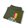 thumbnail image 4 of Cameroon Cameroonian Pride Flag Hoodie, Gifts, Hooded Sweatshirt, 4 of 4