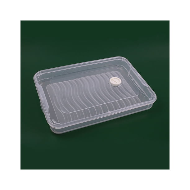 Toystoory Contenedor de almacenamiento de albóndigas de alimentos cajas de plástico liso Wonton nevera caja organizadora cocina hogar restaurante comedor Organizadores de utensilios de cocina Toystoory HA078973-00B
