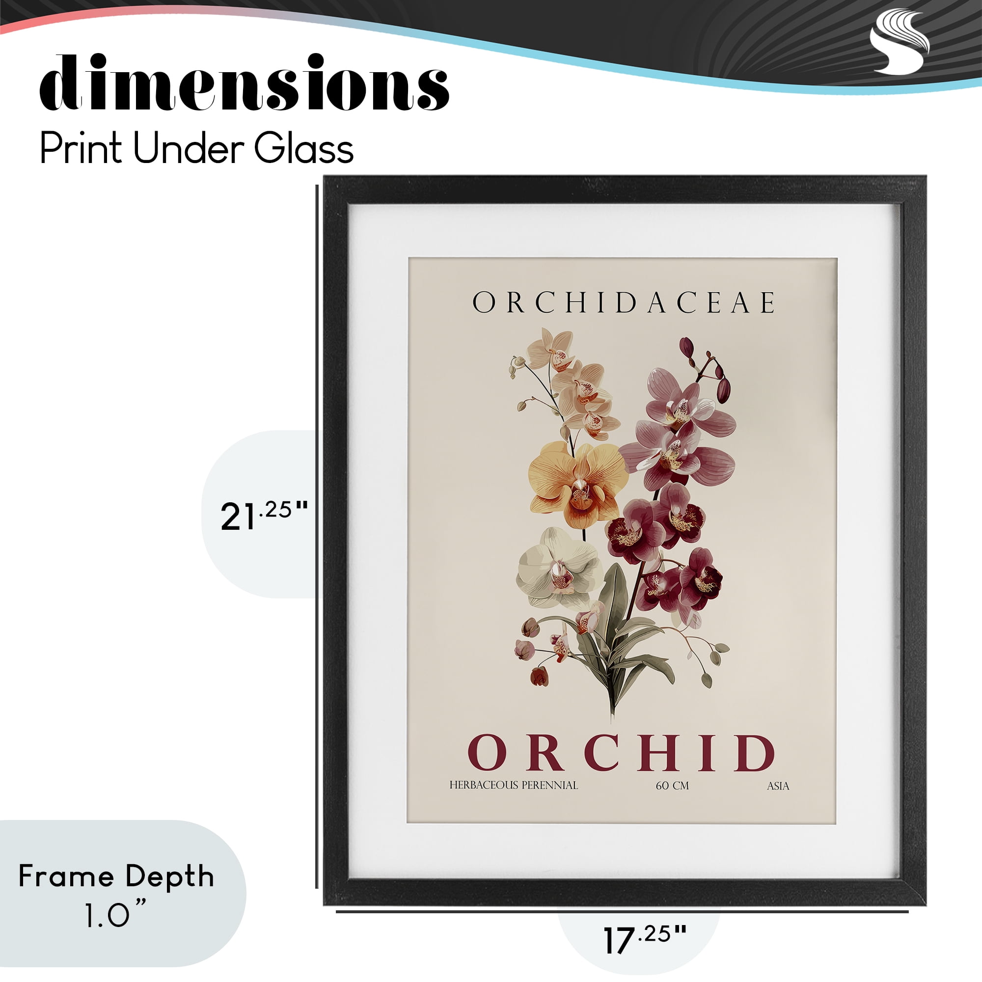 Stupell Industries Natural Orchid Bundle Black Framed Print Under Glass, design by Christopher Giampietro