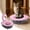 Pink, variant on Cat Toilet Training System, Step-by-Step Litter Box Transition Kit, Sturdy Plastic Cat Toilet Trainer for Standard Toilets(16 Inch,Pink)