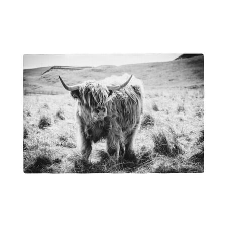 

Placemats Set of 6 Yak (10) Place mats for Dining Table Indoor/Outdoor Cute Heat Resistant Washable Table Mats(18 x 12 )