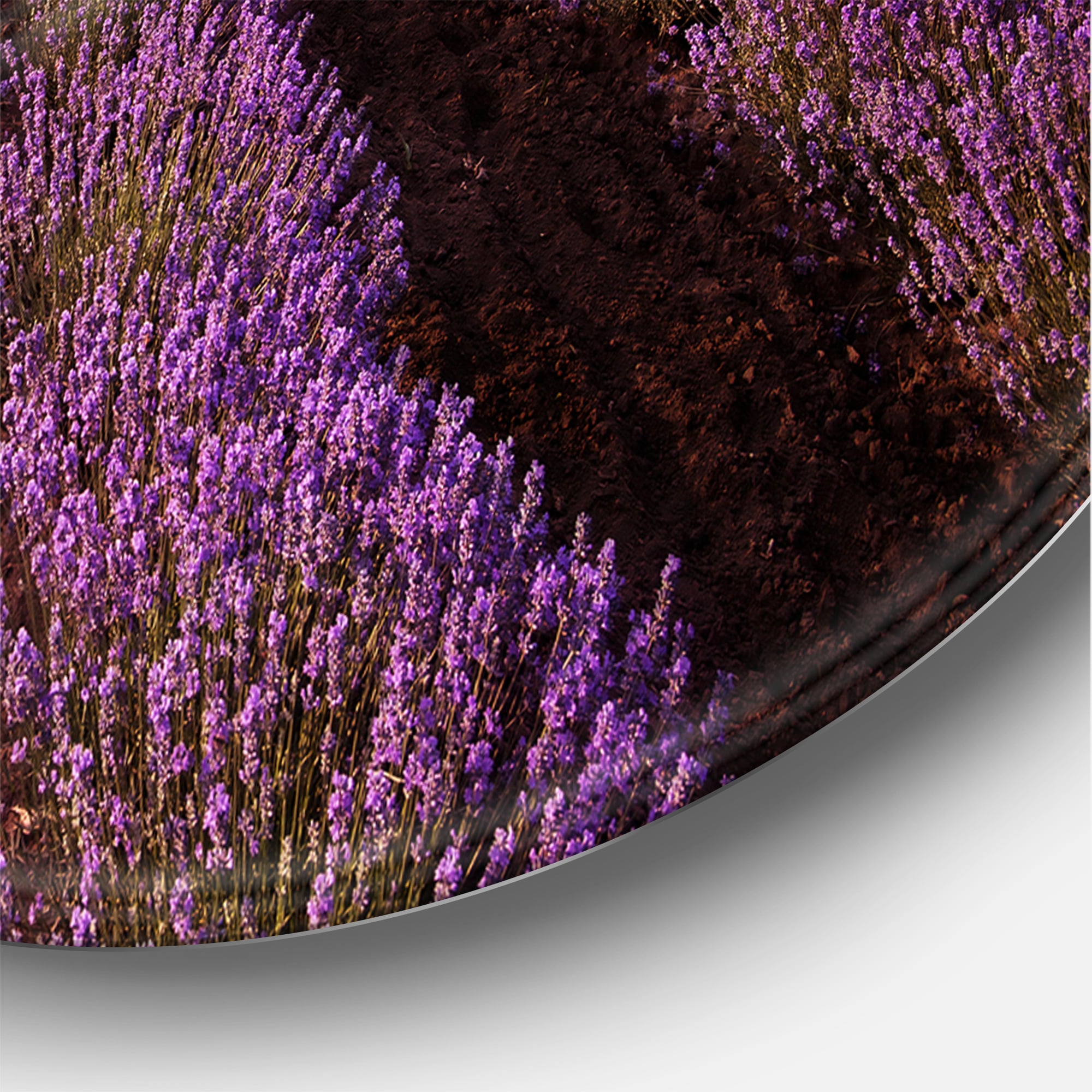 Designart 'Dramatic Clouds and Sunrise Over Lavender Field XI' Farmhouse Circle Metal Wall Art 23x23 - Disc of 23