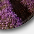 thumbnail image 3 of Designart - Sunrise & Dramatic Clouds Over Lavender Field XI - Farmhouse Metal Circle Wall Art, 3 of 5