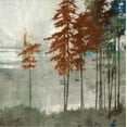thumbnail image 2 of Art.com Spruce Woods II Stretched Canvas Print Wall Art by Andrew Michaels, 16" x 16", 2 of 4