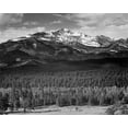 thumbnail image 2 of Adams, Ansel 18x15 Gold Ornate Wood Framed with Double Matting Museum Art Print Titled - Trees in foreground, snow covered mountain in background, in Rocky Mountain National Park, Colorado,, 2 of 4