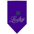 thumbnail image 6 of Pet and Dog Bandana Rhinestone, "Lucky Script", 6 of 10