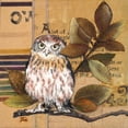 thumbnail image 2 of Pinto, Patricia 15x15 Gold Ornate Wood Framed with Double Matting Museum Art Print Titled - Little Owls I, 2 of 4