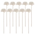 thumbnail image 1 of Shisuyan 10Pcs Reed Diffuser Flower Sticks Essential Oil Aroma Diffuser Sticks Refill Replacement for Aroma, 1 of 9