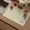Beige, variant on Vinyl Placemats - Heat Resistant Washable Place Mats Waterproof Non-Slip Wipeable Table Mats for Dining Table Decor, Spring Outdoor Plastic Placemat