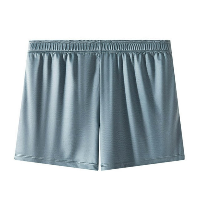 DGMIOCS Men's Underwear Breathable Soft Comfortable Mid Rise Briefs for Daily Wear Home Smooth Fabric Stretch Fit Lightweight Summer Spring Blue L