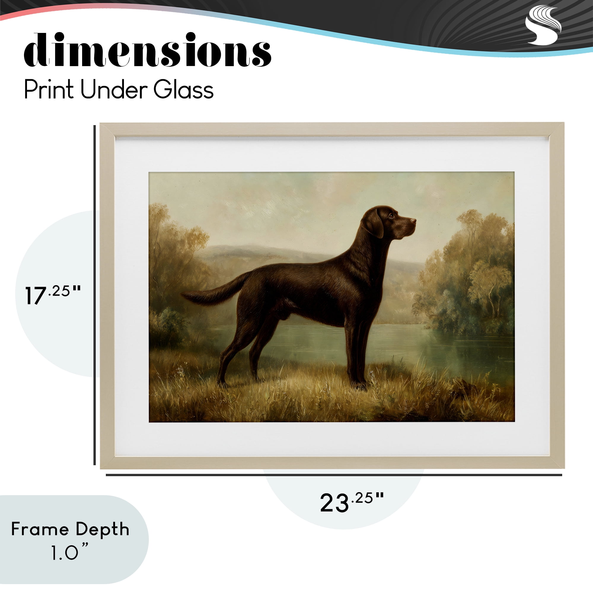 Stupell Industries Chocolate Brown Labrador Birch Framed Print Under Glass, design by Petal Prints Design