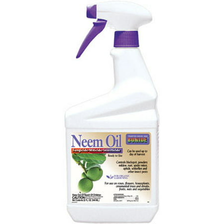 Bonide Neem Oil Insect & Disease Control (Best Neem Oil For Garden)