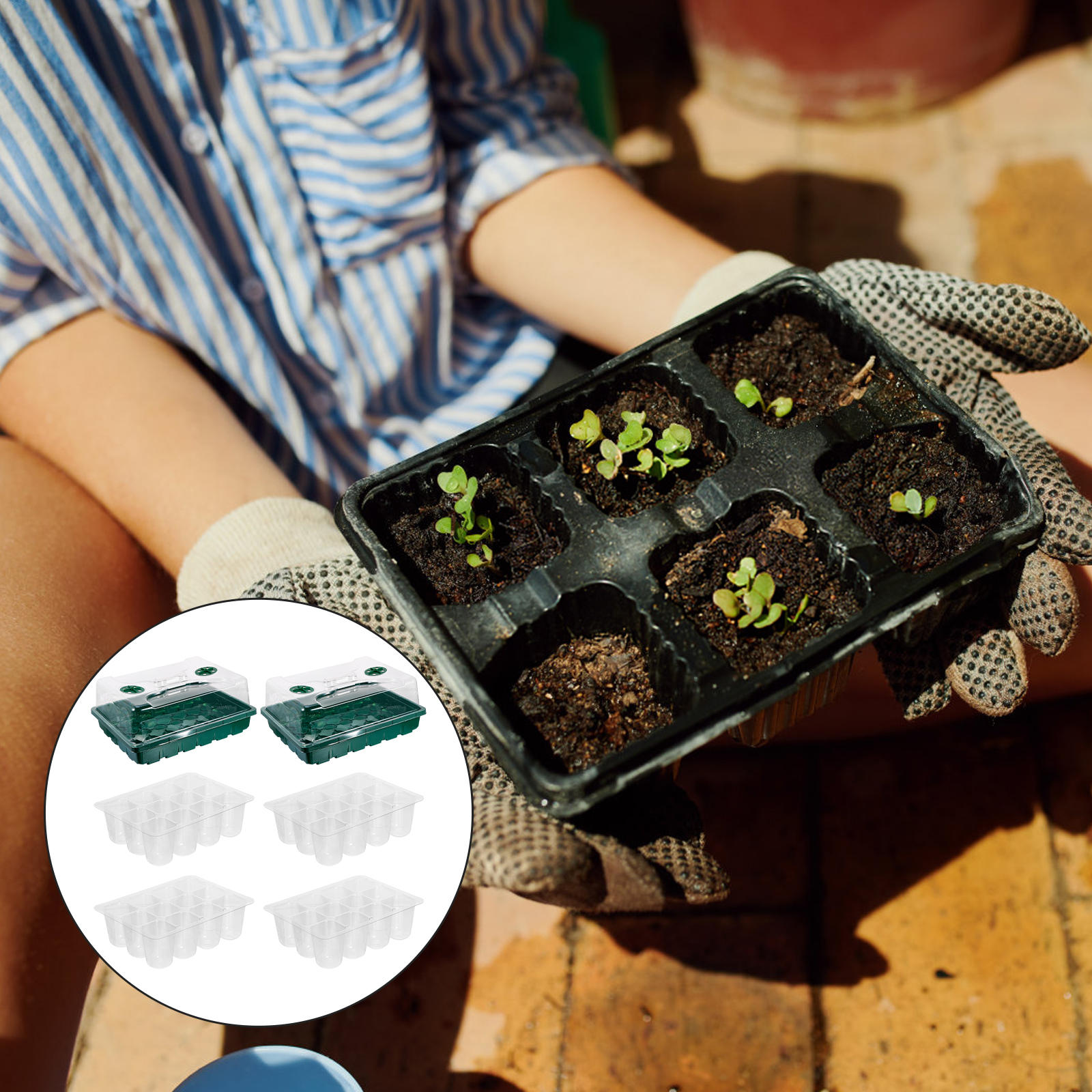 WEUVEB Hydroponic Plant Germination Tray with Clear UV-Protected Lid, Green Plastic Seed Starter for Optimal Plant Growth, 1 Set