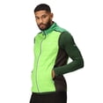 thumbnail image 4 of Regatta Mens Halton VII Padded Gilet, 4 of 6