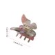 thumbnail image 3 of Pinza para el pelo Pinza para el pelo con placa para rascar el pelo de mariposa de color francés Wmkox8yii fajkfhkj4191, 3 of 3