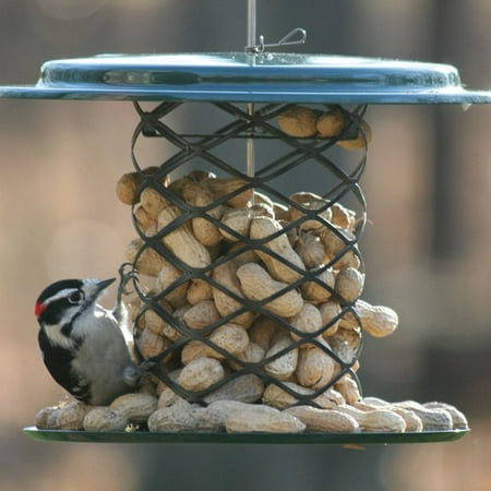 Birds Choice Magnet Mesh Whole Peanut Tube Bird Feeder Walmart Com