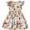 Brown Flowers, variant on Toddler and Little Girl Skater Dress Ruffle Sleeve Priness A-line Sundress - 1 Piece Dinosaur