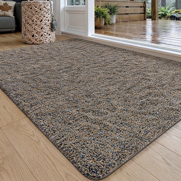 DEXI Indoor Door Mat Front Entrance, 20x32 Non Slip Dirt Trapper Soft Entry Rug, Absorbent Washable Doormat for Inside Entryway Fl