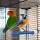thumbnail image 4 of pstuiky Jaula para pájaros con varilla de afilar garras, 4 of 6