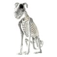 thumbnail image 2 of 2X Esqueleto de Perro Sentado de Halloween Esqueleto de Perro Sentado Aterrador y Espeluznante con Dientes Afilados Decoración de Halloween Herror, 2 of 5