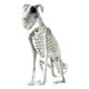 thumbnail image 2 of 2X Esqueleto de Perro Sentado de Halloween Esqueleto de Perro Sentado Aterrador y Espeluznante con Dientes Afilados Decoración de Halloween Herror, 2 of 8