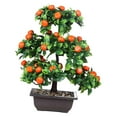 thumbnail image 1 of Bonsái de Frutal Artificial de 13 Pulgadas de Alto, Decoración de Mesa, Centro de Mesa Resistente para Decoración de Oficina en El Hogar, Naranja, 1 of 8