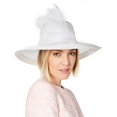 thumbnail image 1 of August Hat Sheer Wide-Brim Hat (Natural), 1 of 1