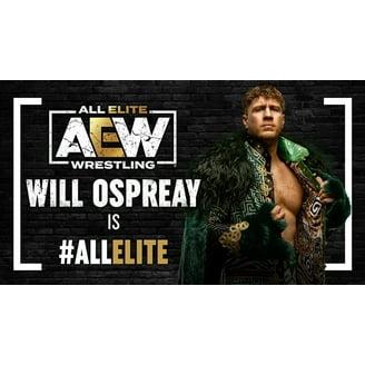 AEW Unrivaled Supreme- 6 inch Cody Rhodes Elite Wrestling Action