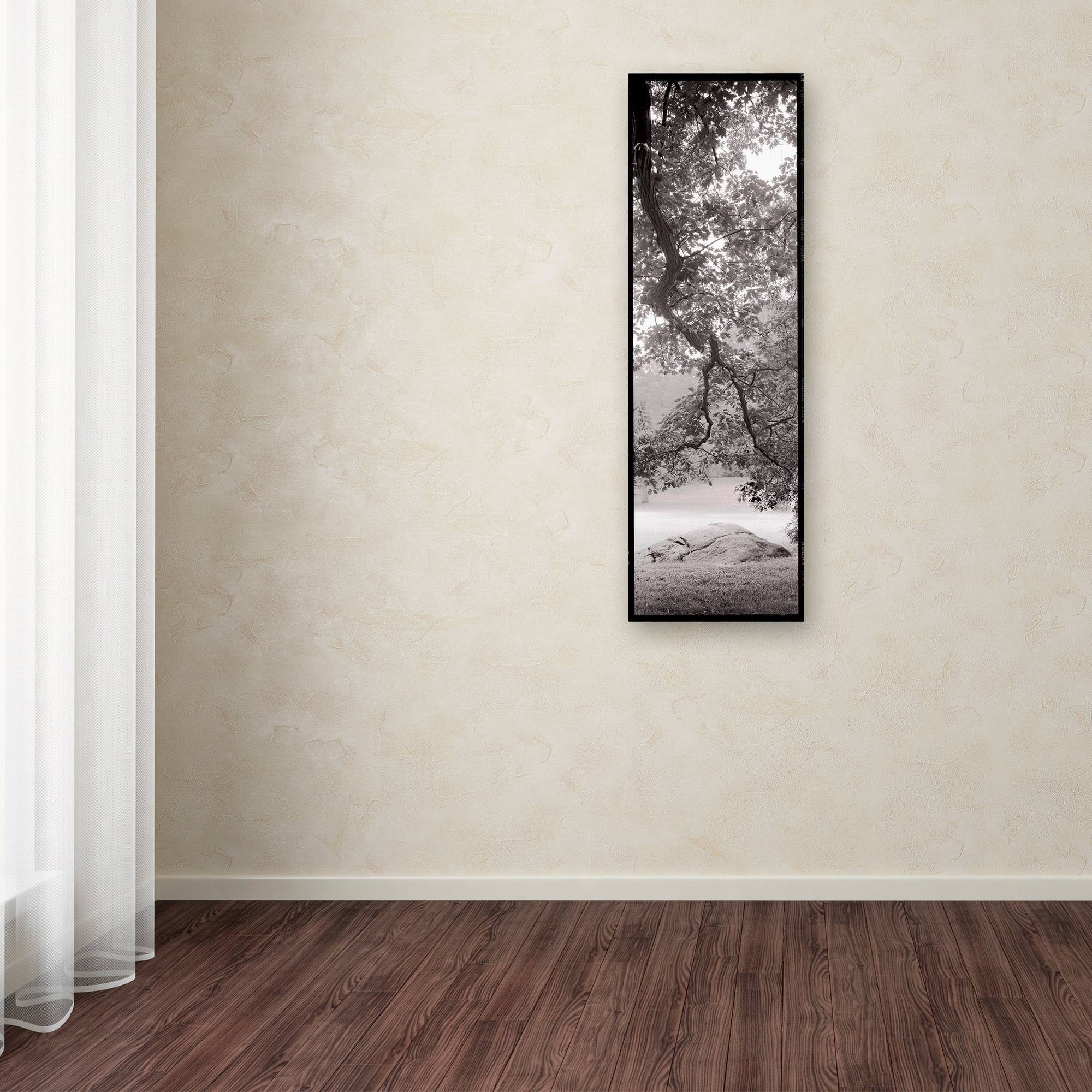 Trademark Fine Art "Hampton Field Tree I" Canvas Art by Alan Blaustein